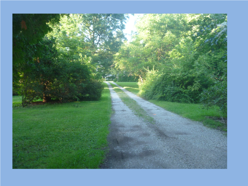 the road our parents took